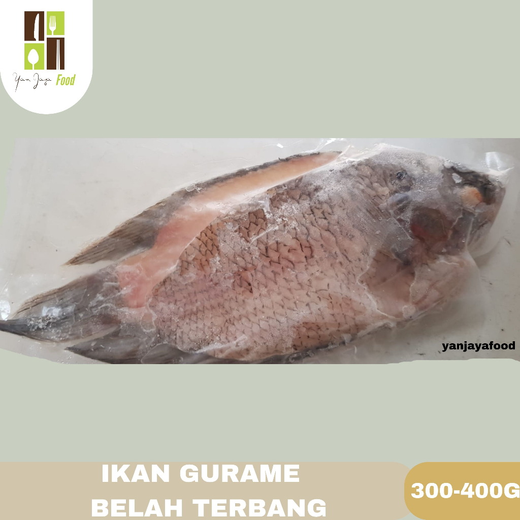 Ikan Gurame Segar / Sudah Bersih / Fresh / Siap Masak / Vakum 400-500g