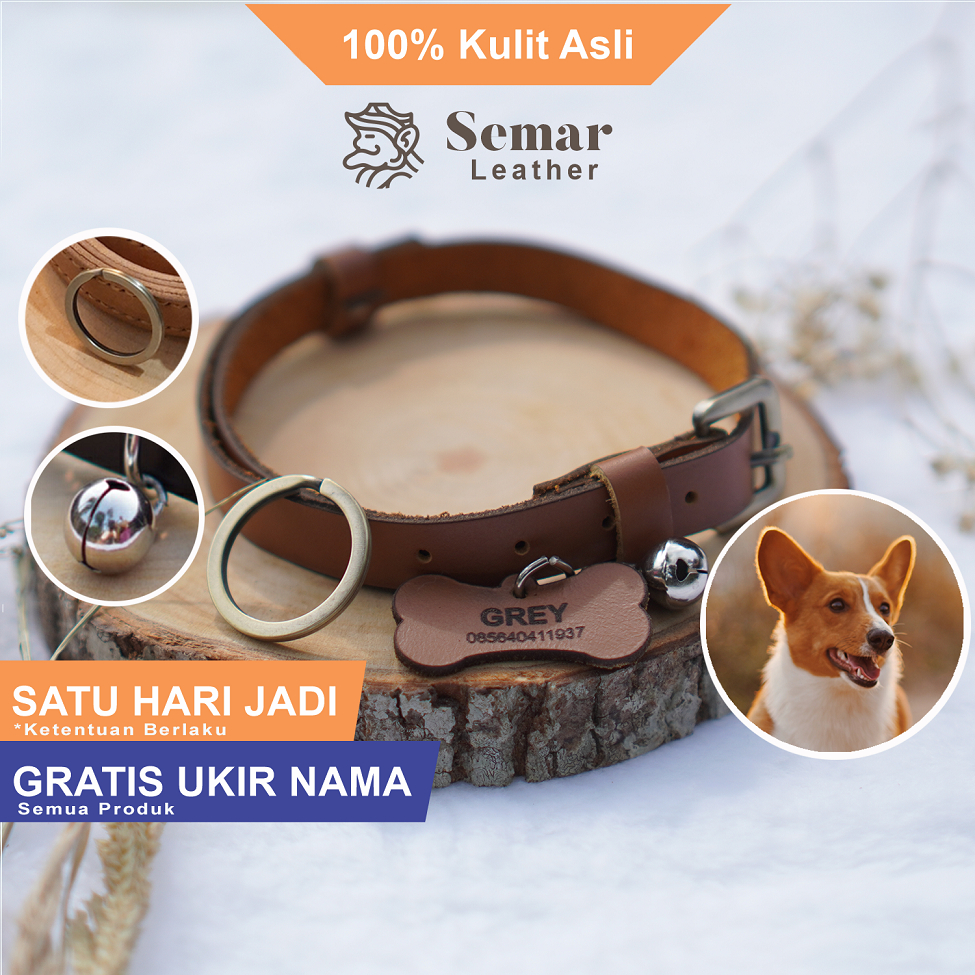 Kalung Anjing Kecil Puppy Custom Nama Kulit Asli HV