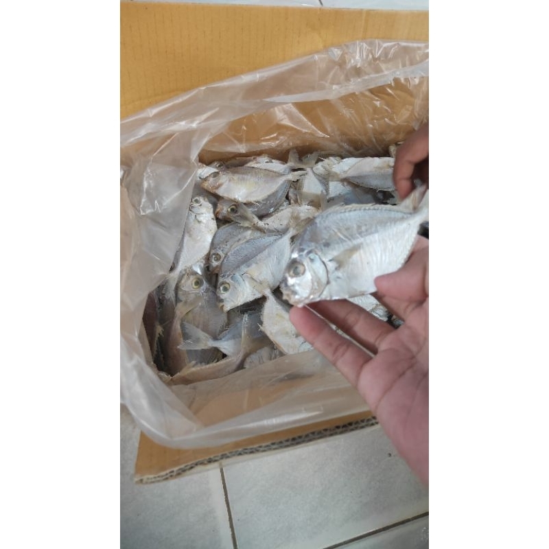 

Ikan Asin Petek / Pirik Sedang Isi 1Kg