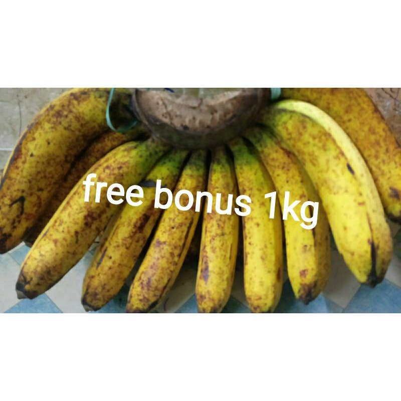 

pisang barangan 1 ssr + gratis bonus