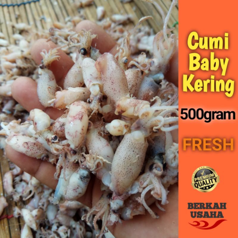 

BABY CUMI FULL KERING 500gram size 1-2cm 2-3cm 3-4cm