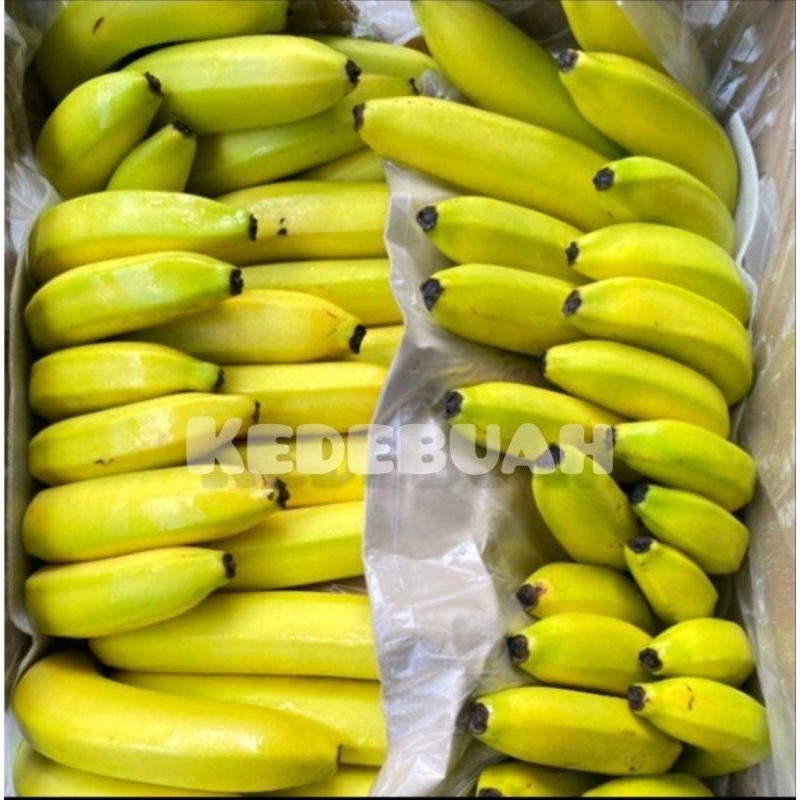 

Pisang Cavendish Sunpride 1 kg