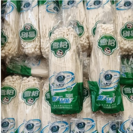 

jamur enoki