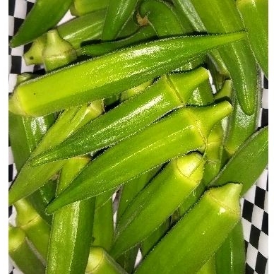 

okra muda segar