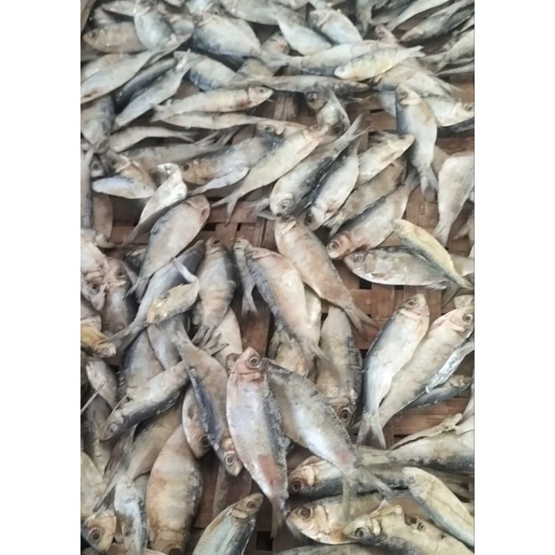 

Ikan Asin Sesek Ikan Asin Tembang 1kg