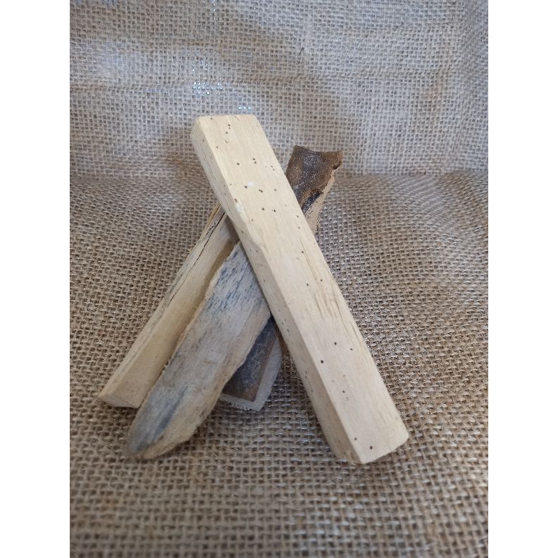 

DariKebun | AKAR PASAK BUMI ASLI PROMO