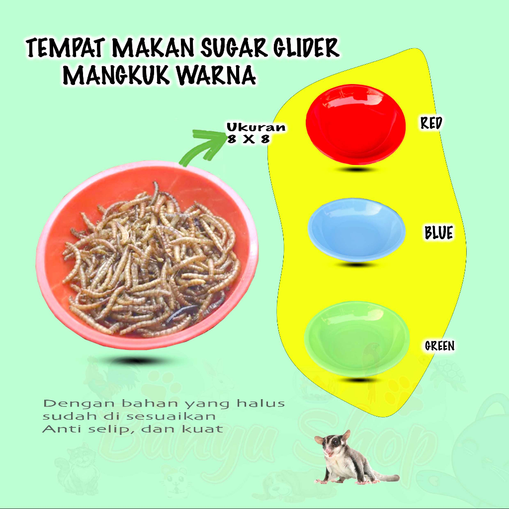 TEMPAT MAKAN MINI SUGAR GLIDER
