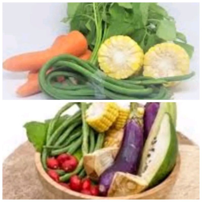 

Sayur Lodeh Dan Sayur Bening fresh Uk.Besar