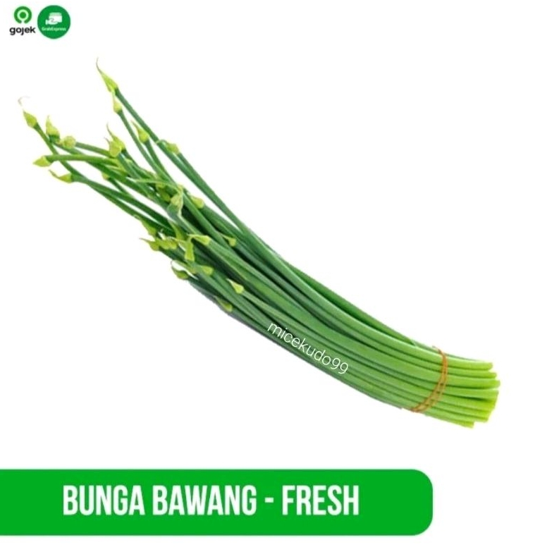 

BUNGA BAWANG ORGANIK SEGAR FRESH KEMBANG DAUN BAWANG