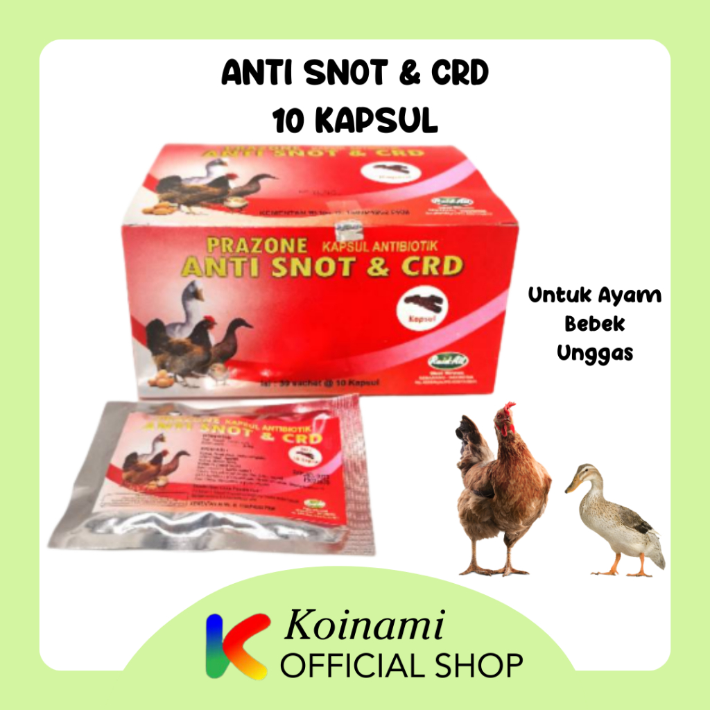 ANTI SNOT &amp; CRD UNTUK AYAM BEBEK UNGAS / raid