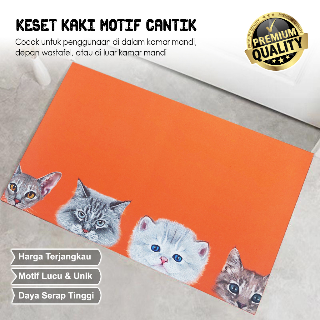 Keset Lantai Cepat Menyerap Air Bahan Diatomite Multifungsi Dengan Karakter lucu - D2A7