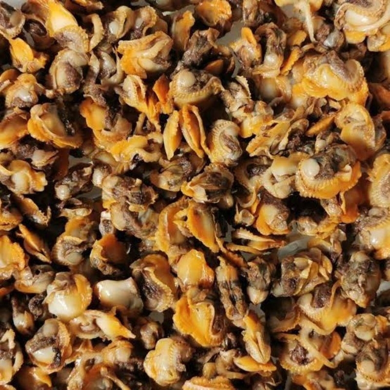 

kerang dara kupas 500gr-1kg