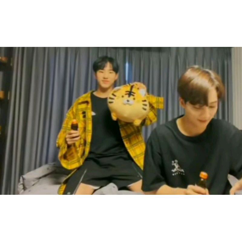 READY BONEKA TIGER IDOL KPOP KOREA HOSHI WONWOO JEONGHAN SEVENTEEN HORANGHAE DRAKOR SVT IN CARATLAND