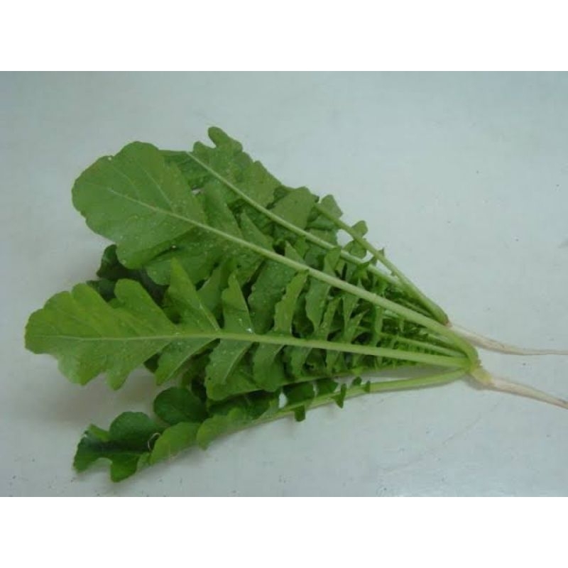 

Daun lobak organik 200 gr