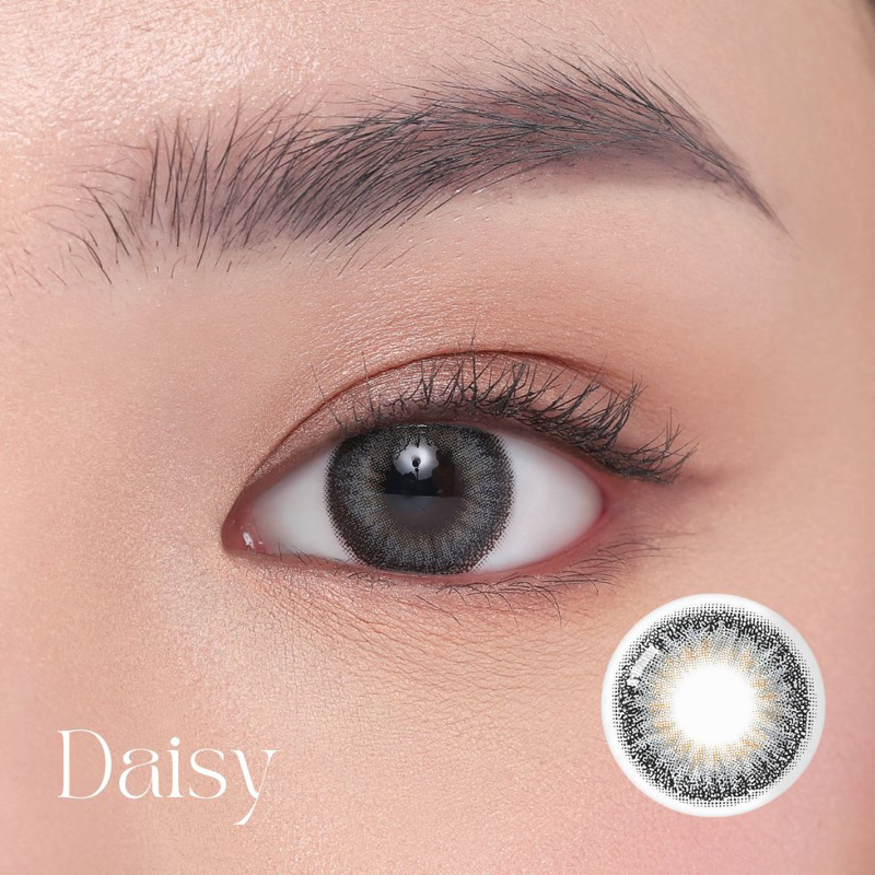EYESIGHT LENSES Softlens Bloominc Daisy Gray | Softlens Korea Premium 14.2mm Warna Abu Semi Natural, Cocok Untuk Daily atau Party, Bisa Normal Dan Minus (2pcs/sepasang)