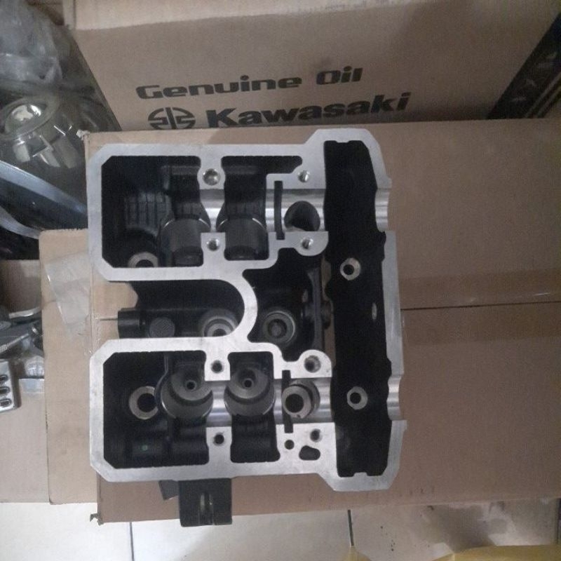 head ninja RR mono z250sl zsl