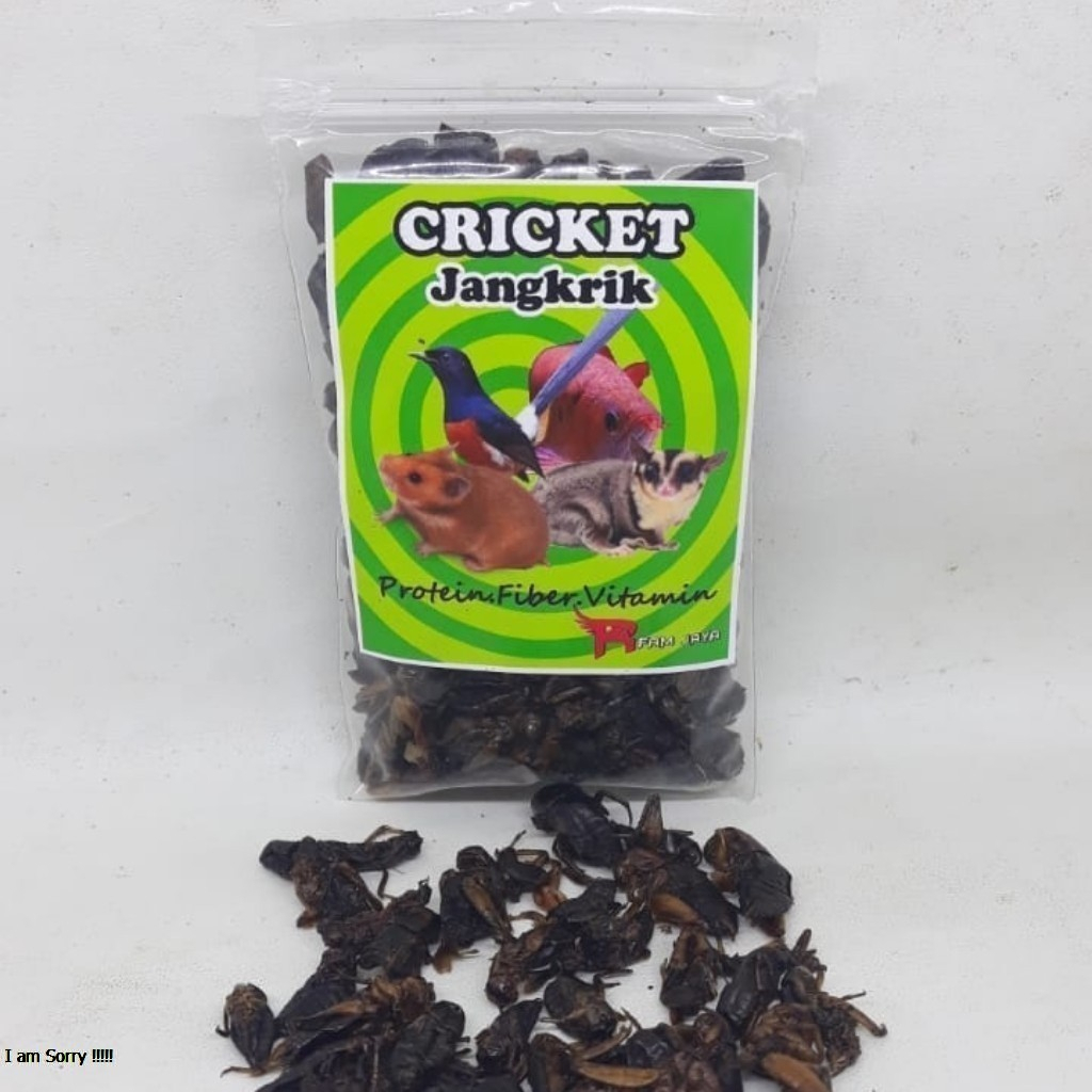 CRICKET JANGKRIK KERING 15 GRAM PAKAN ARWANA HAMSTER BURUNG