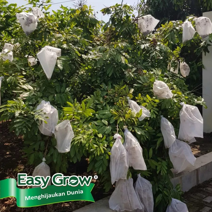 EASY GROW - fruit cover size L (25 x 30 cm) - pembungkus buah - brongsong buah