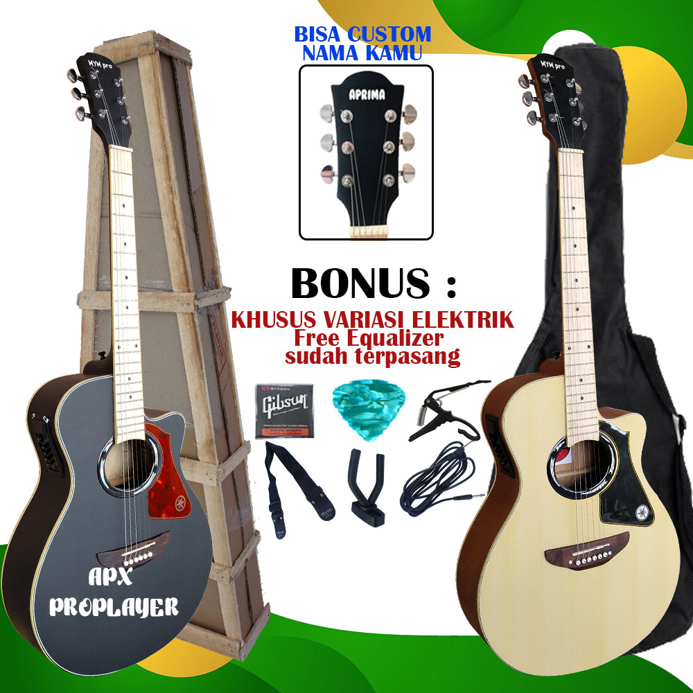 Gitar Akustik APX 500 Custom Standar Free Packing Kayu