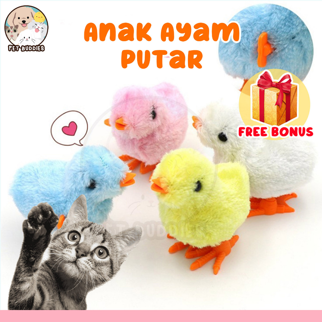 Mainan Kucing Anak Ayam Putar Lucu Cat Toy Doll