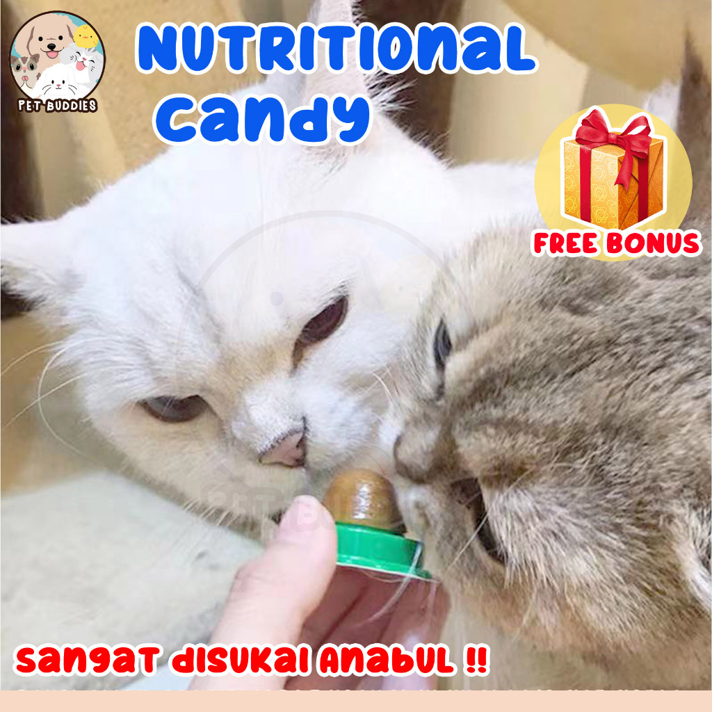 Nutritional Candy Snack Kucing Catnip Suplemen Energi Peningkat Nafsu Makan