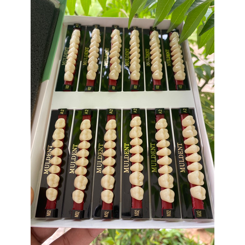 GIGI MULDENT GERAHAM 1 dus isi 12 papan