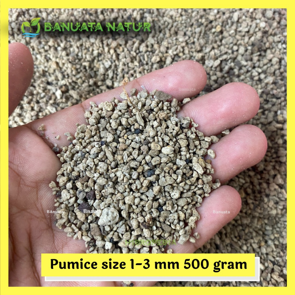 Pumice Batu Apung 500 gr Media Tanam Kaktus Berkualitas - Banuata