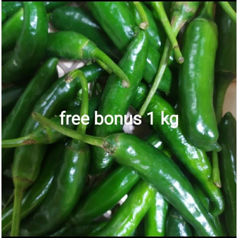 

cabe hijau besar 250gr + gratis bonus