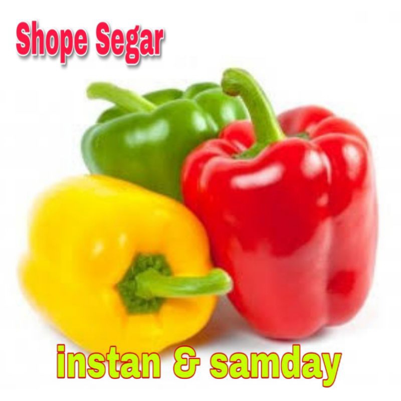 

Paprica Merah Paprica Kuning Paprica hijau 1 pcs