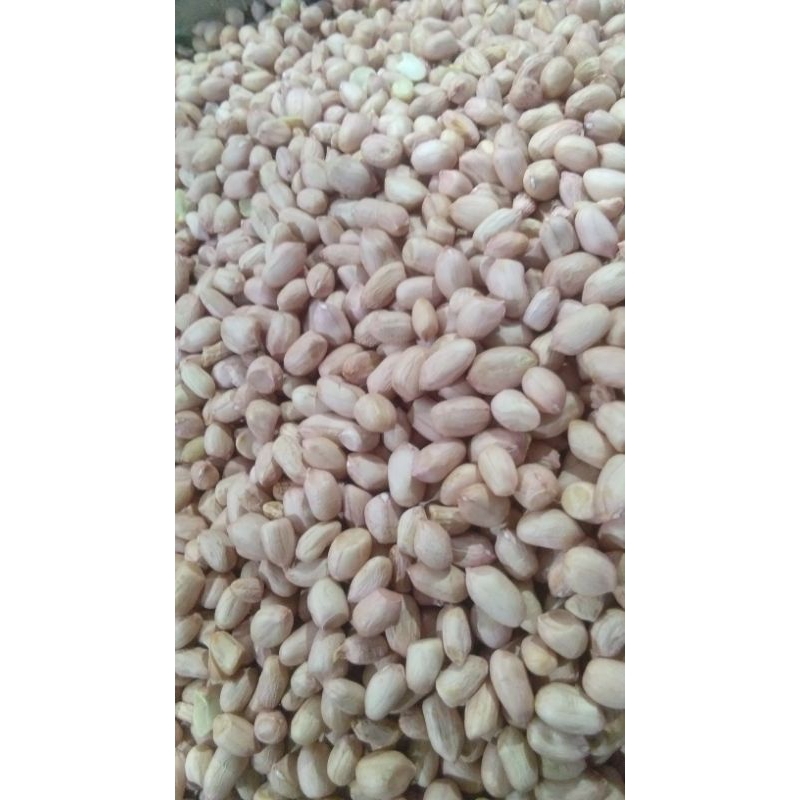 

kacang tanah kupas/benih kacang tanah 1kg