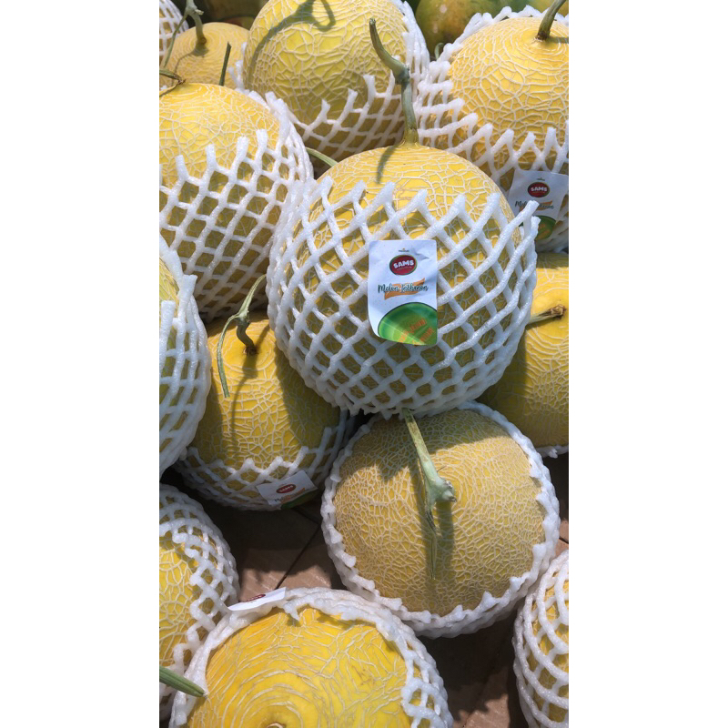 

Melon Inthanon Daging Lembut Fresh 1,8 kg \ pcs