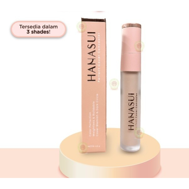 HANASUI Perfect Cover Concealer 4.5g