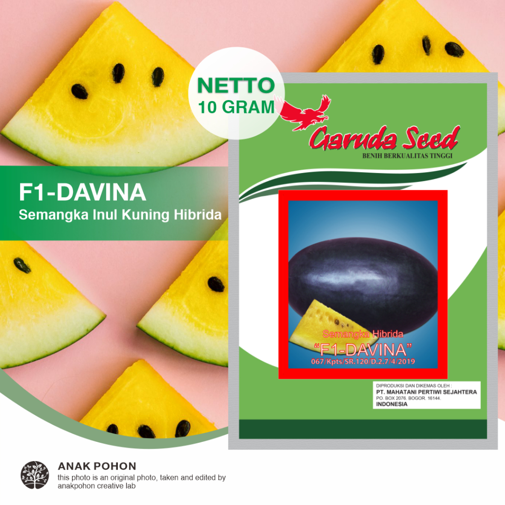 (1 PACK) Benih Semangka Inul Kuning DAVINA F1 Hibrida Seeds - Garuda Seed - 10 GRAM