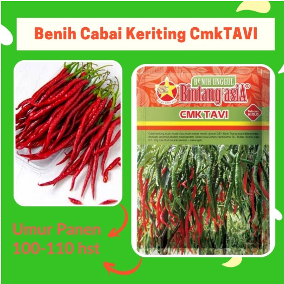 Benih Cabai Keriting CMK TAVI 10gr