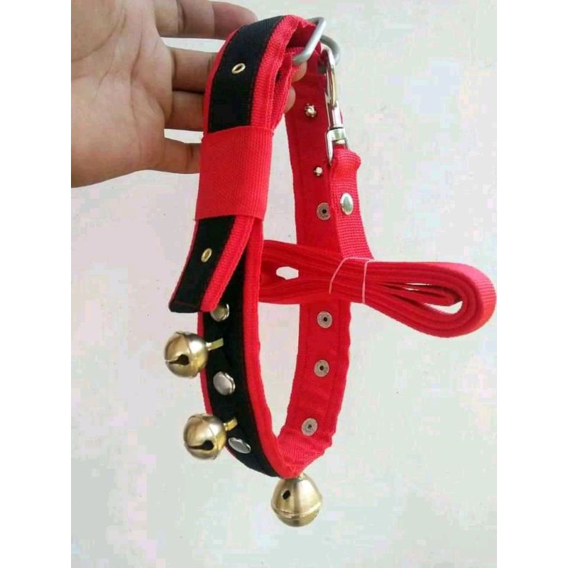 aksesoris sapi,kambing,kuda dll