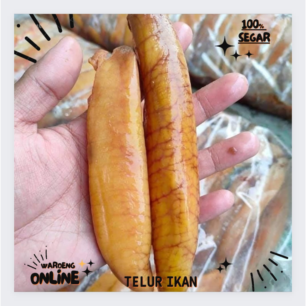 

Telur Ikan Segar 1Kg