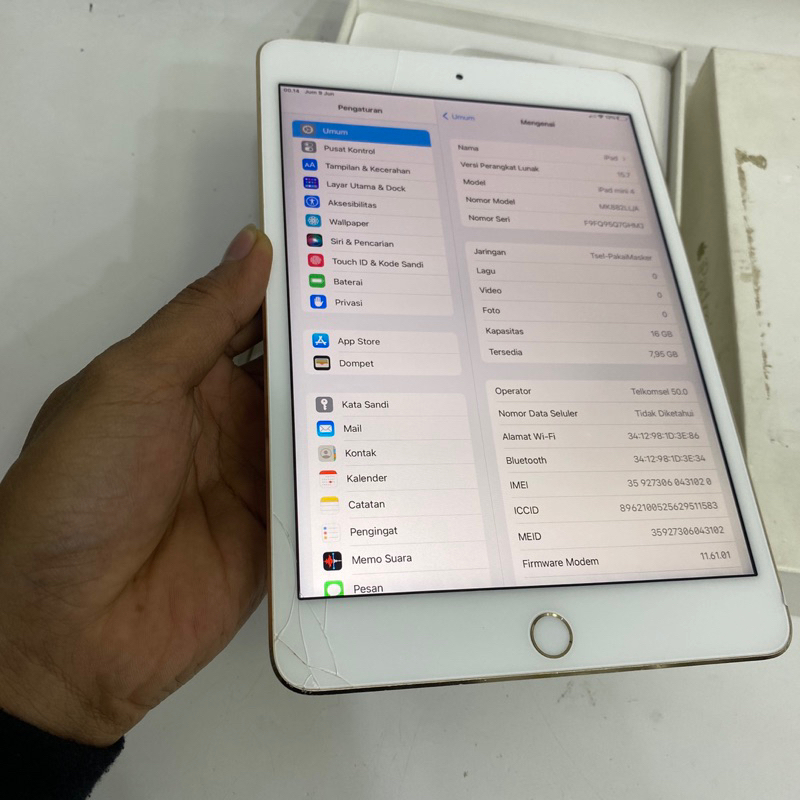 iPad mini 4 Resmi iBox