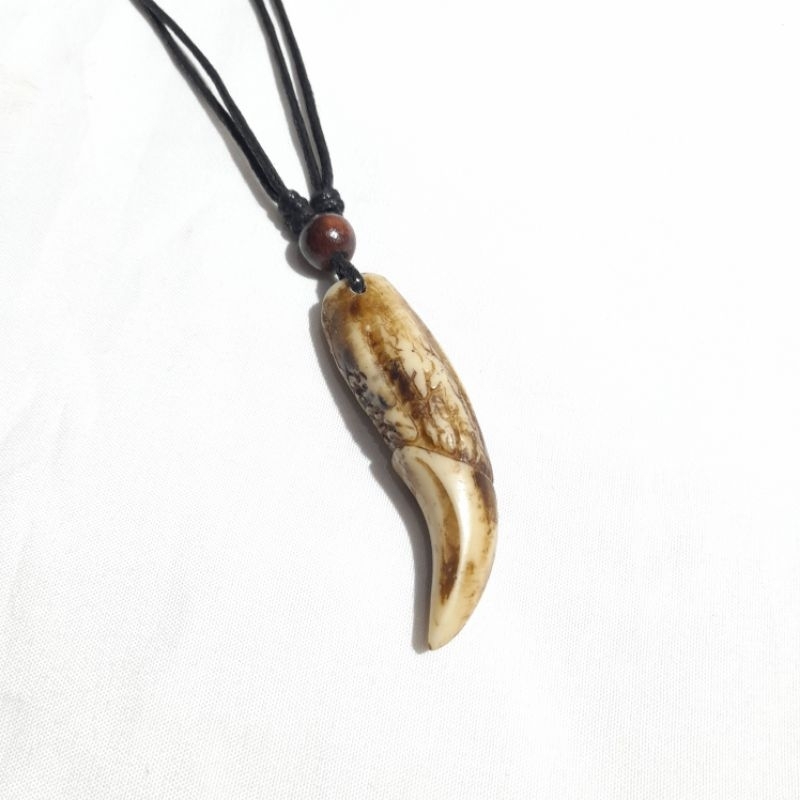 Kalung Etnik Taring Beruang Kalung Resin Keren