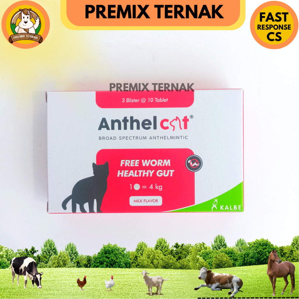 ANTHEL CAT 1 TABLET (KEMASAN BLISTER)- Obat Cacing Kucing LIKE DRONTAL CAT