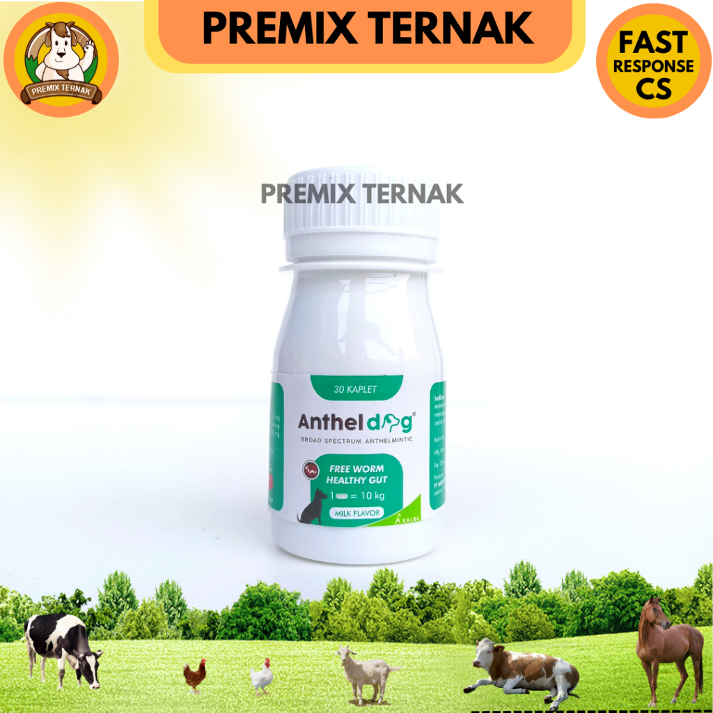 ANTHEL DOG 1 tablet (KEMASAN BOTOL) - Obat cacing anjing like DRONTAL DOG PLUS TASTY