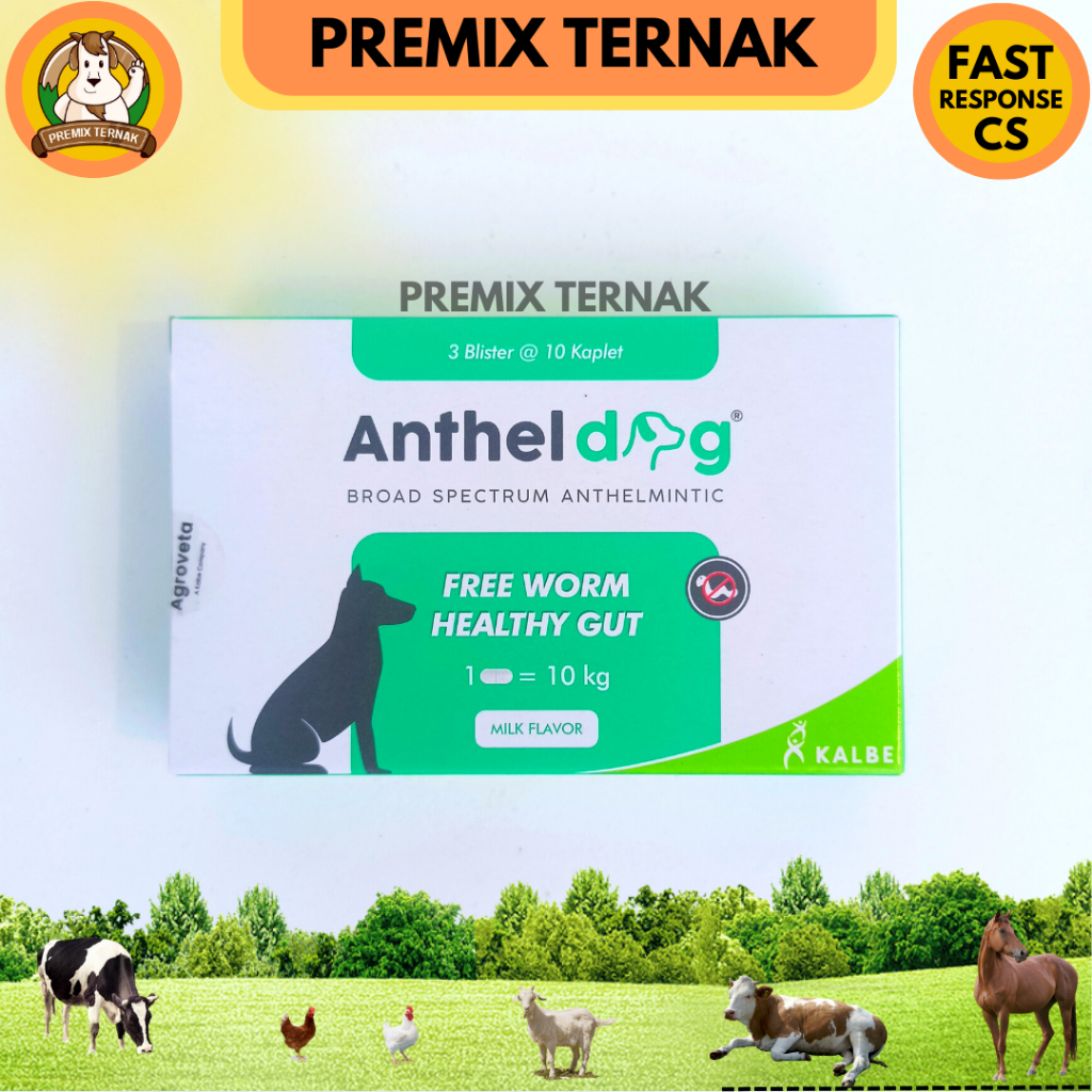 ANTHEL DOG 1 TABLET (KEMASAN BLISTER) - Obat cacing anjing like DRONTAL DOG