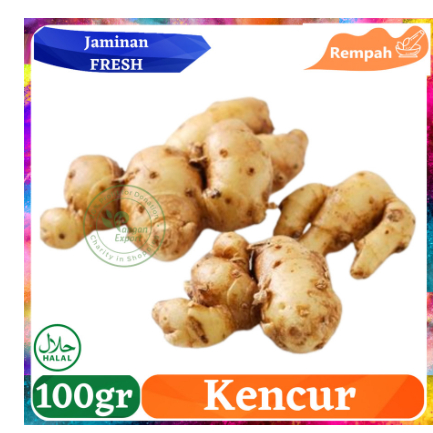 

Kencur Galangal Premium / Buah Bumbu Sayur Masak by Pangan Export - 100gr