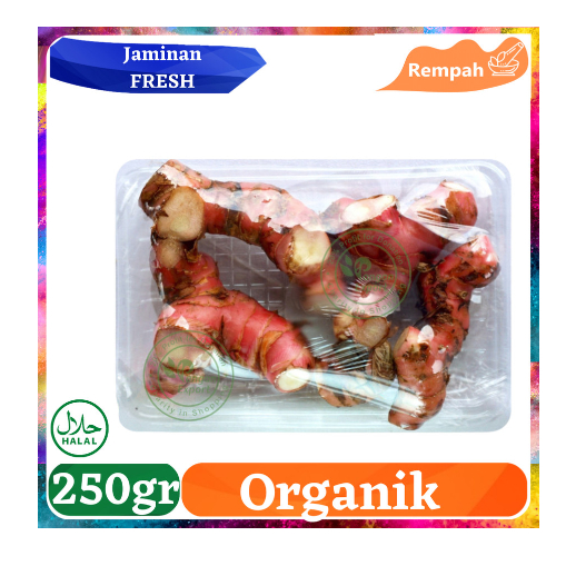 

Lengkuas Galangal Premium / Buah Bumbu Sayur Masak by Pangan Export