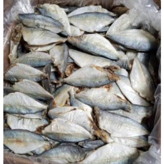 Ikan asin Peda Buntung