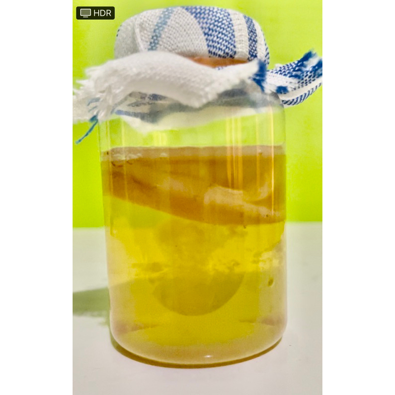 

scoby + starter