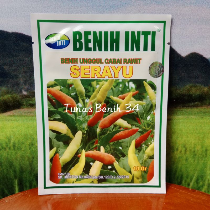 Benih Cabe Rawit Putih Serayu 10Gram - Cap Benih Inti