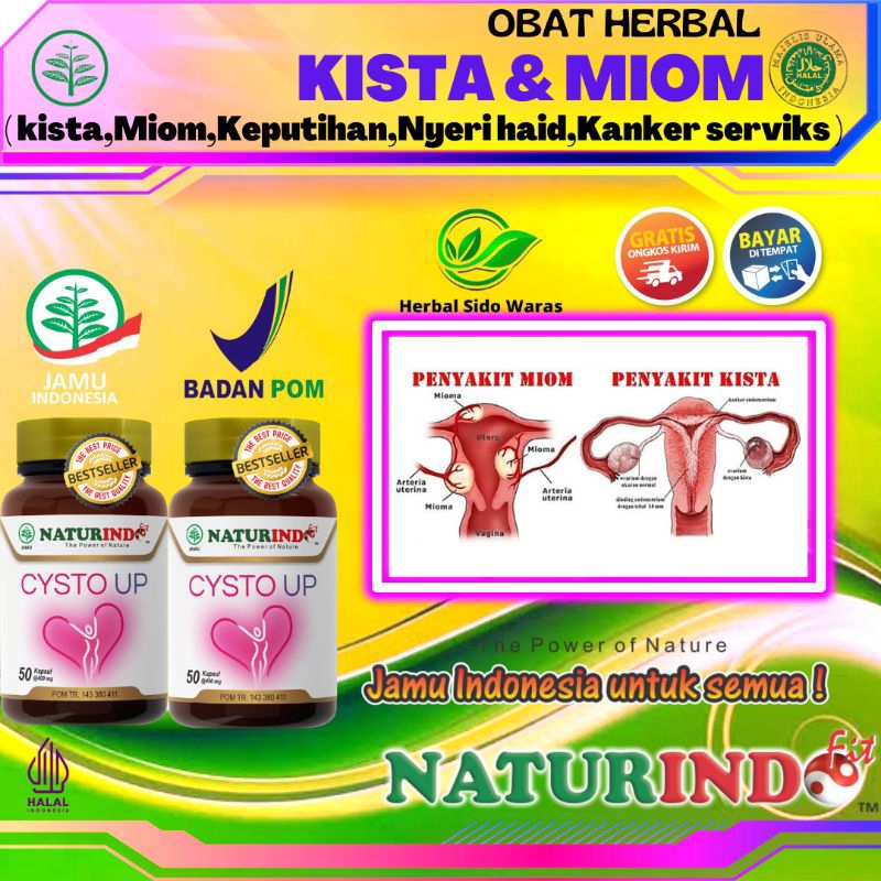 Obat Kista Bartholin Ovarium Ganglion Endometriosis Obat Miom Dan Kista Yg Paling Ampuh Obat Kista  
