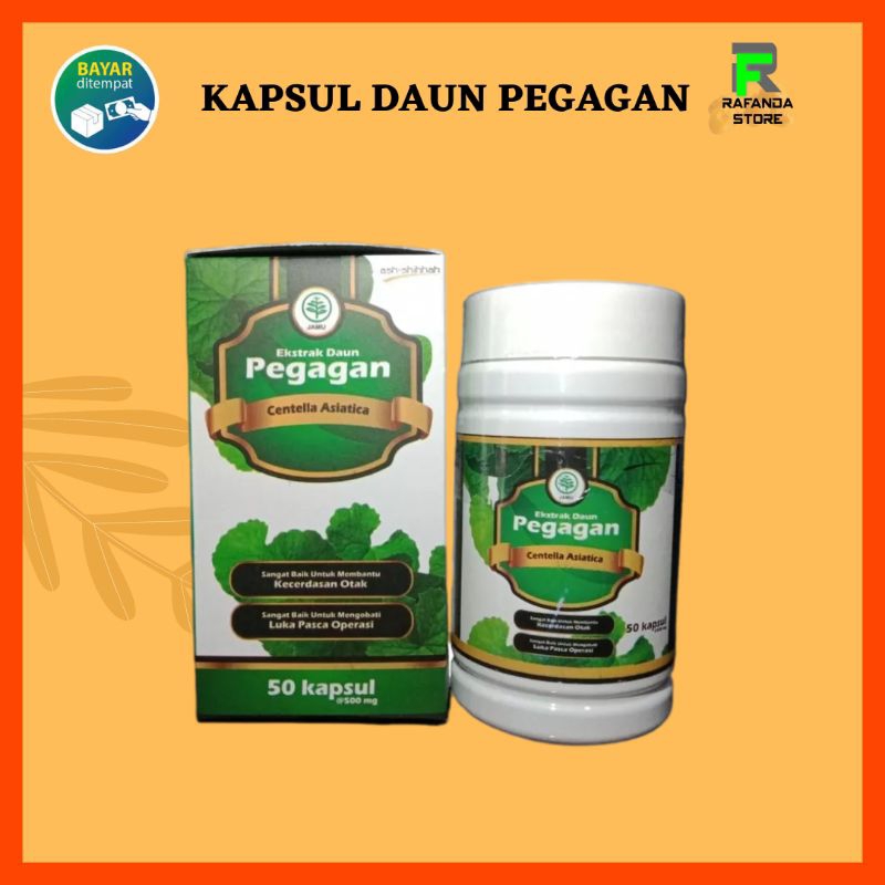 Kapsul Extract Daun Pegagan 60 Kapsul dan 50 kapsul