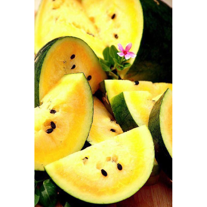 

SEMANGKA KUNING 1-2Kg
