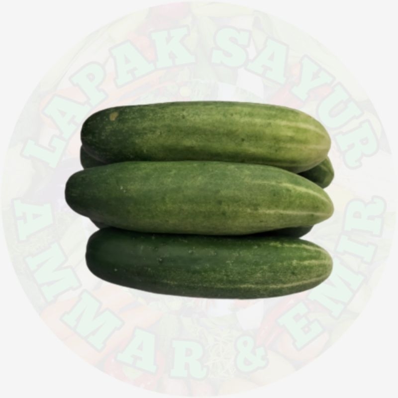 

PROMO!!! SERBA LIMA RIBUAN - Timun 500 gram